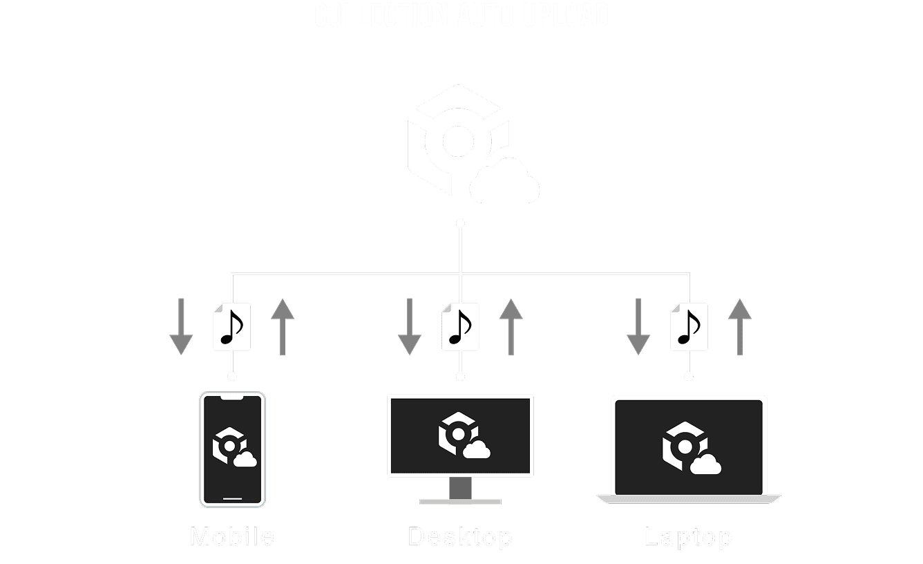 Collection Auto Upload